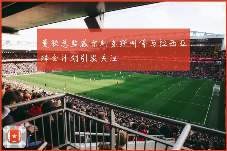 曼联总监威尔科克斯叫停马拉西亚转会计划引发关注